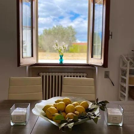 8 Bedrooms House With Private Pool And Wifi At 4*