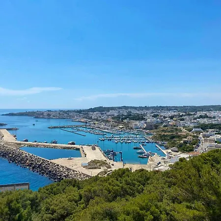 8 Bedrooms House With Private Pool And Wifi At Hotel Specchia