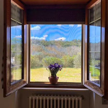 8 Bedrooms House With Private Pool And Wifi At Hotel Specchia