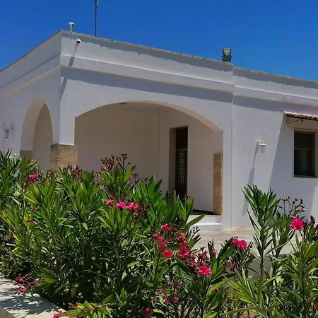 8 Bedrooms House With Private Pool And Wifi At Hotel Specchia
